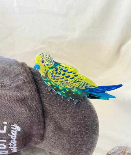 Budgie Hair Claw | Australian Native Bird Clip