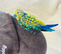 Budgie Hair Claw | Australian Native Bird Clip