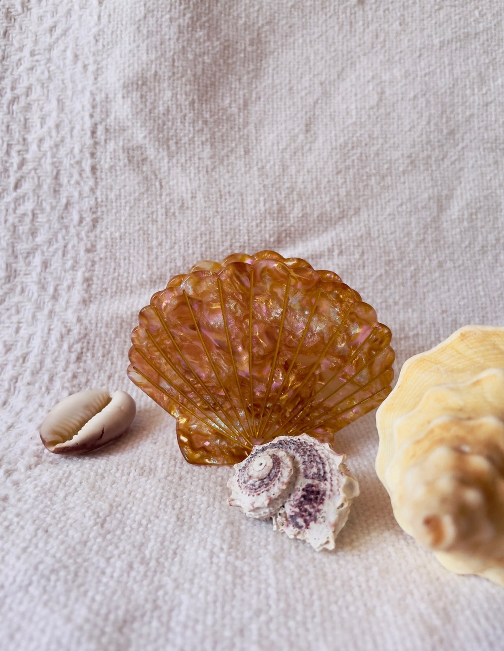 Clam shell hair claw clip coastal beach accessory Australia