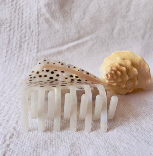 Cone shell hair claw clip coastal ocean accessory Australia