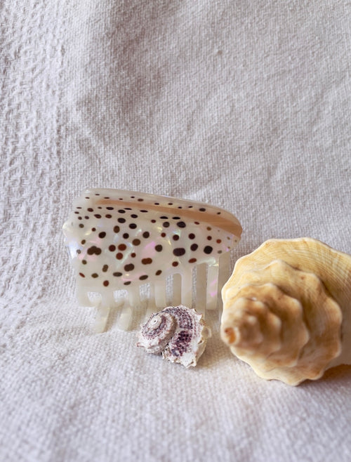 Cone shell hair claw clip coastal ocean accessory Australia
